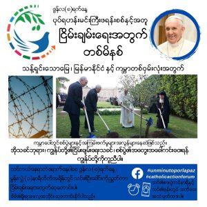Birmano_UMPP2021